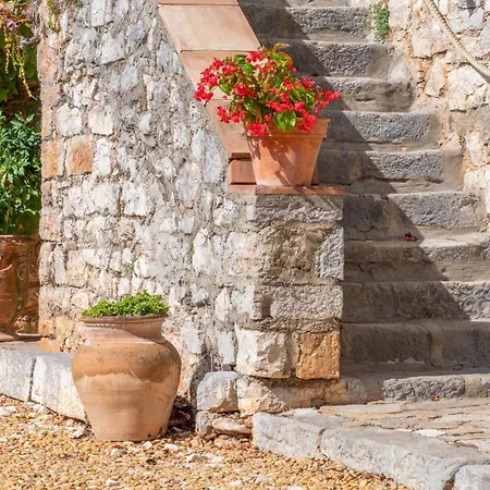 34lavit Viols-en-Laval